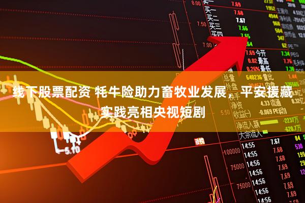 线下股票配资 牦牛险助力畜牧业发展，平安援藏实践亮相央视短剧