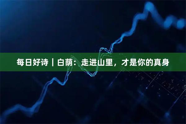 每日好诗｜白荫：走进山里，才是你的真身