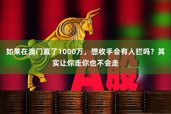 如果在澳门赢了1000万，想收手会有人拦吗？其实让你走你也不会走