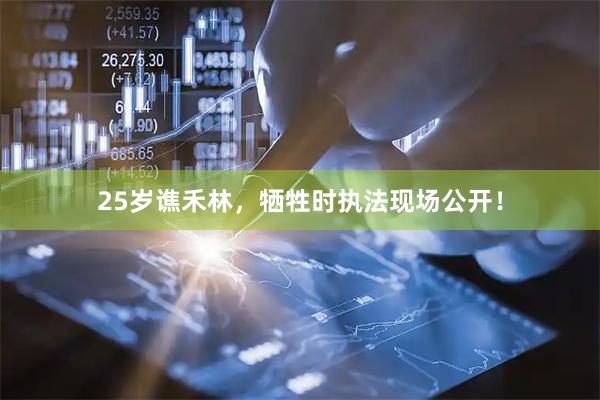 25岁谯禾林，牺牲时执法现场公开！