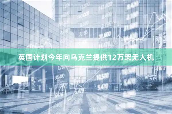 英国计划今年向乌克兰提供12万架无人机